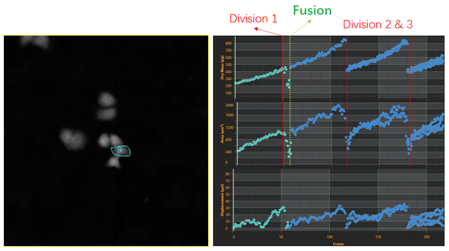 2、細胞譜系研究-2.png